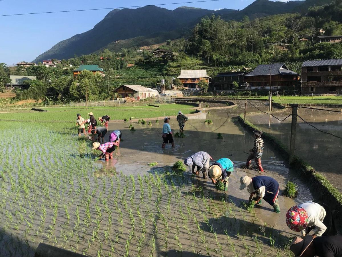 Little Ta Van Homestay Sa Pa Esterno foto