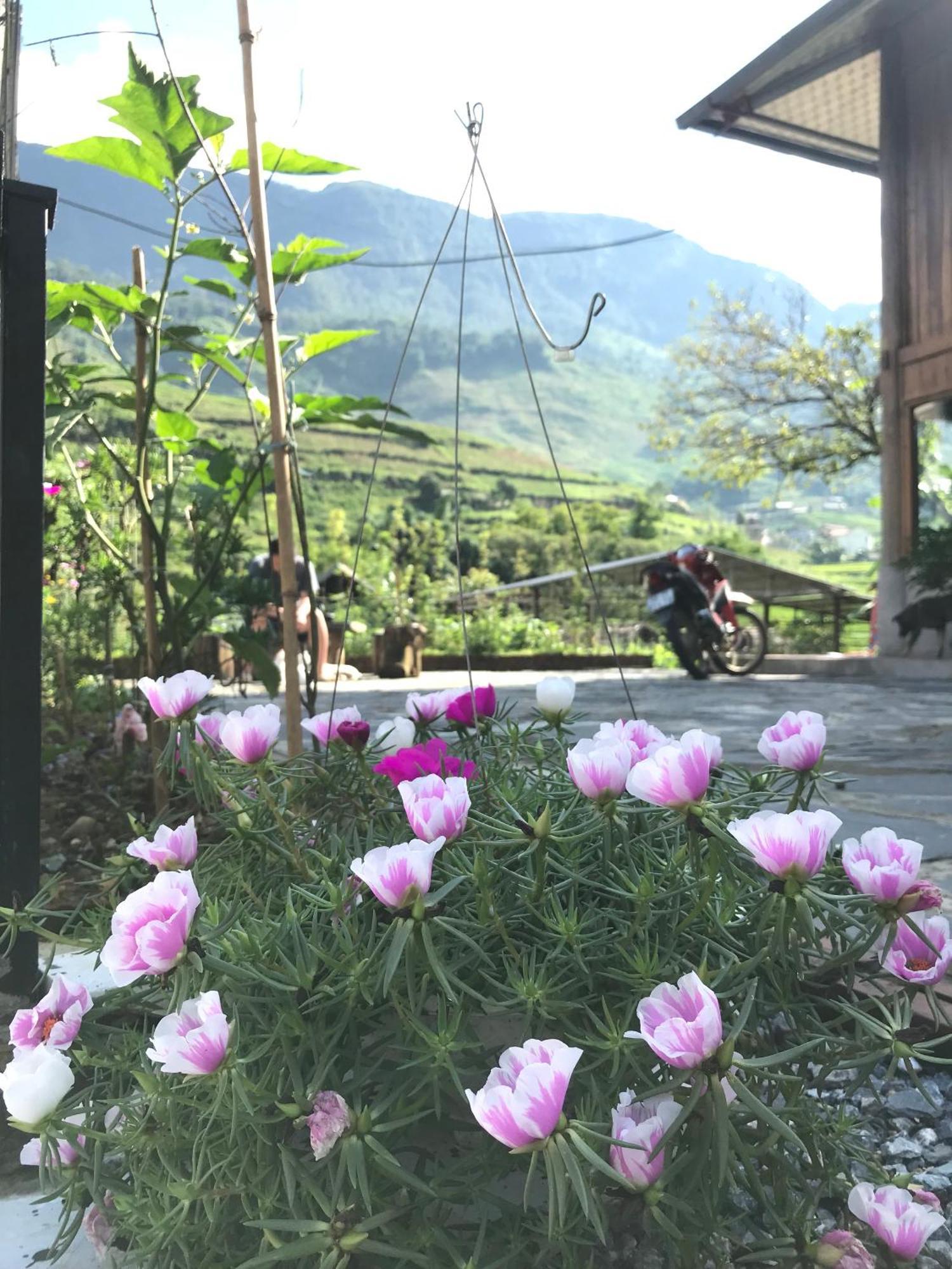 Little Ta Van Homestay Sa Pa Esterno foto